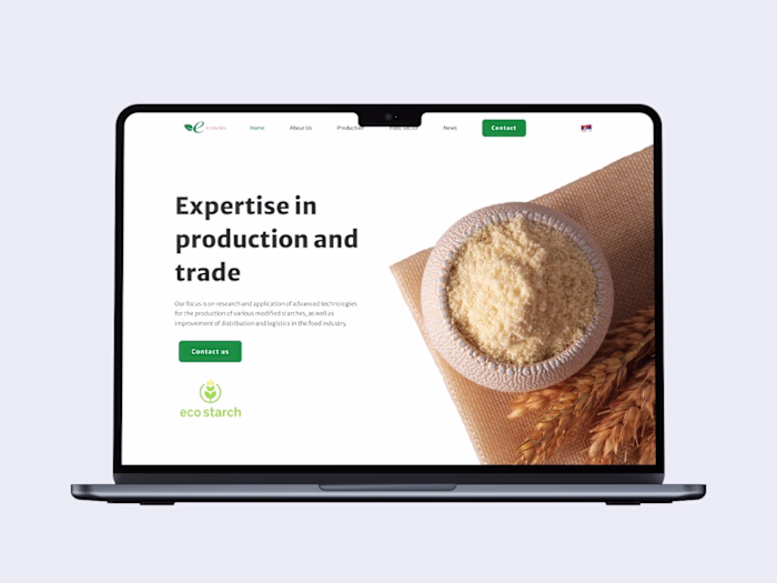 Webflow Website Development