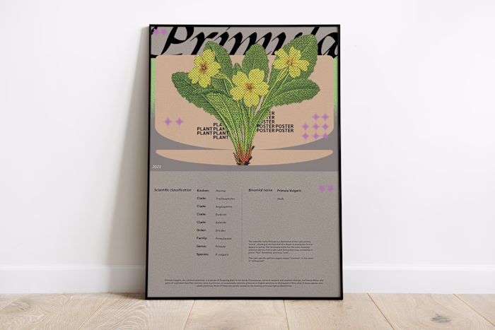 Primula Poster