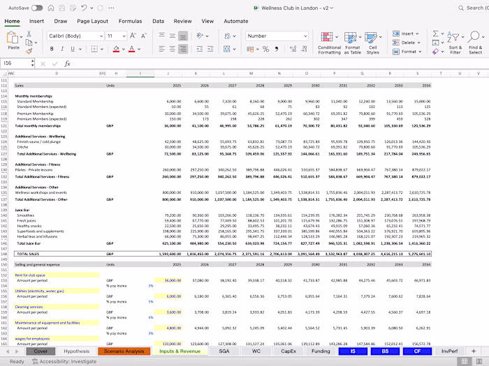 Investor-Ready Financial Model for Wellness Startup