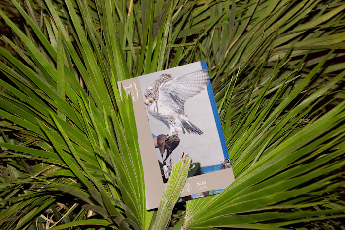 Abu Dhabi Art Fair - Key Visual 2022