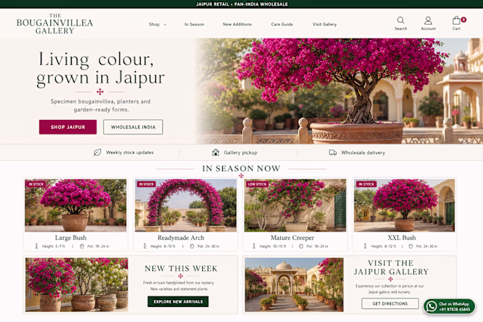 Bougainvillea Retail & Wholesale Website Concept