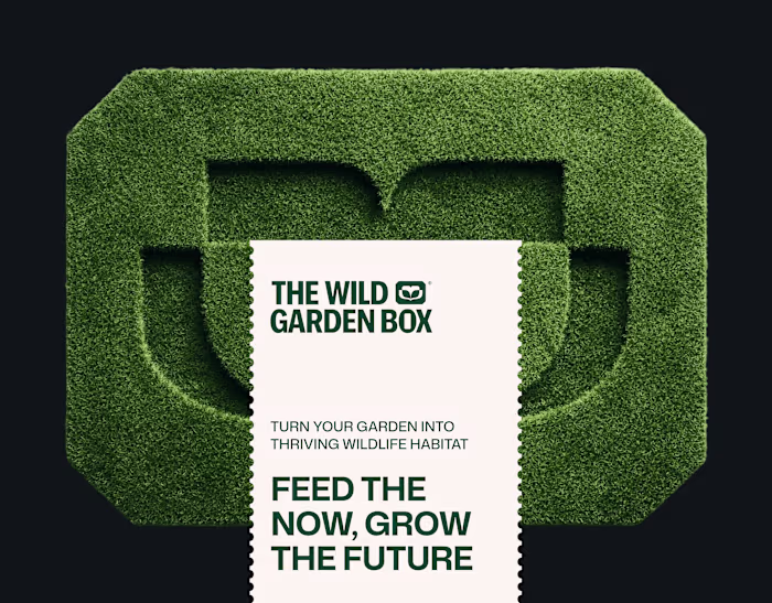 Brand Identity for The Wild Garden Box
