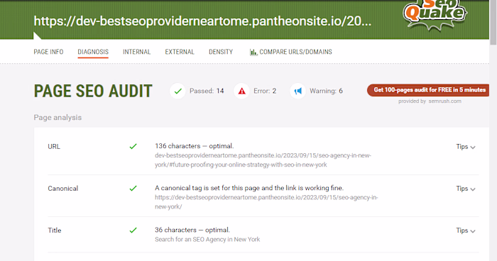 Website Audit