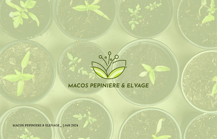 Macos Brand Design : Behance