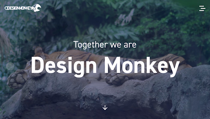 Design Monkey - Full-stack Solution w/ React & Strapi CMS