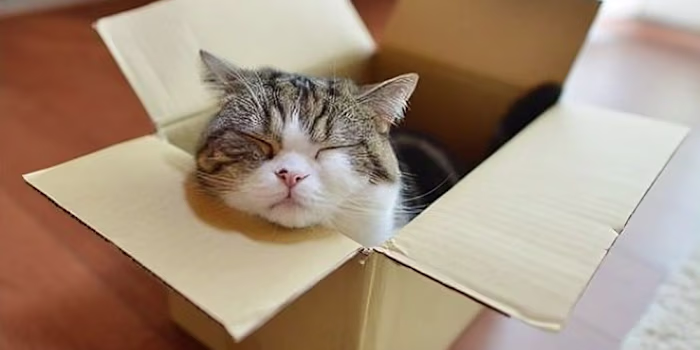 AWS Fargate Container Deployment with CloudFormation