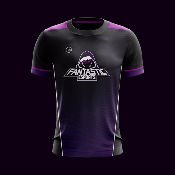 Fantastic Esports REBRAND