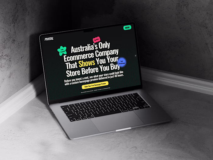 I designed and built a fully custom ecommerce agency website...
