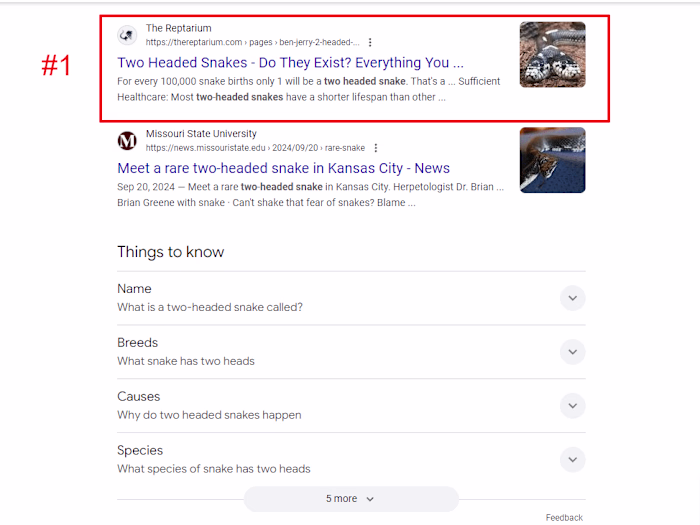 200% growth in organic traffic in 5 months