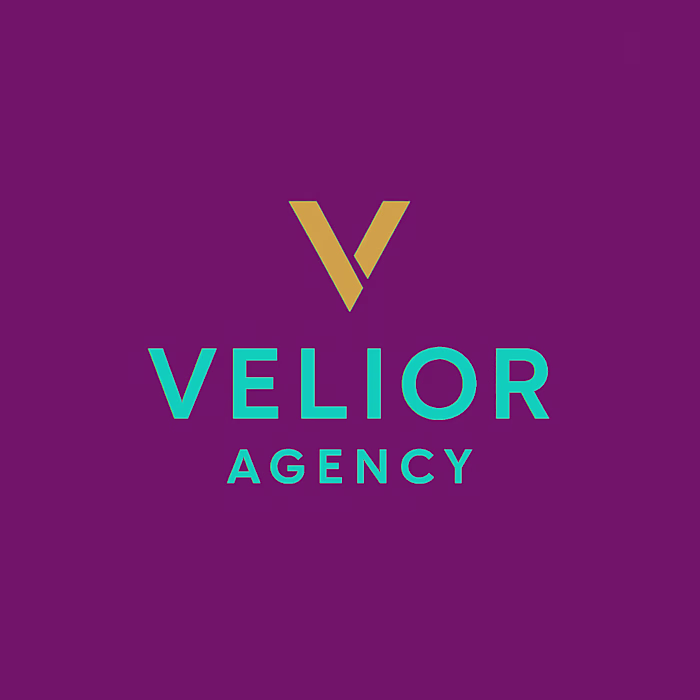 Velior Agency Modern Minimalist Logo Design