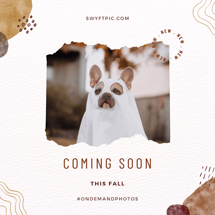 Content Creation-Photography Booking App