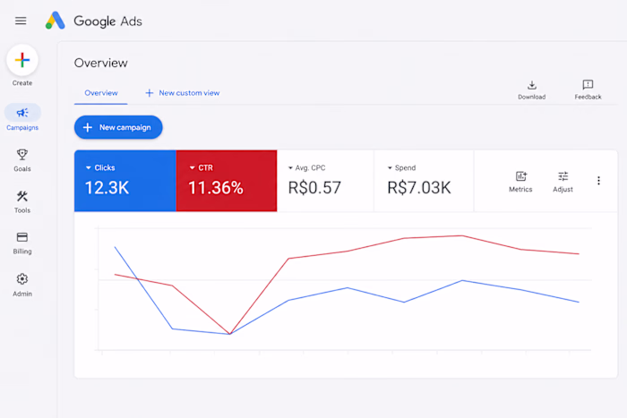 Google Ads & Conversion Website