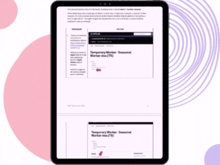 Translating the UK Visa Application Process to Romanian