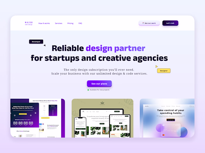 Web Design and Development for Najsu Agency Website