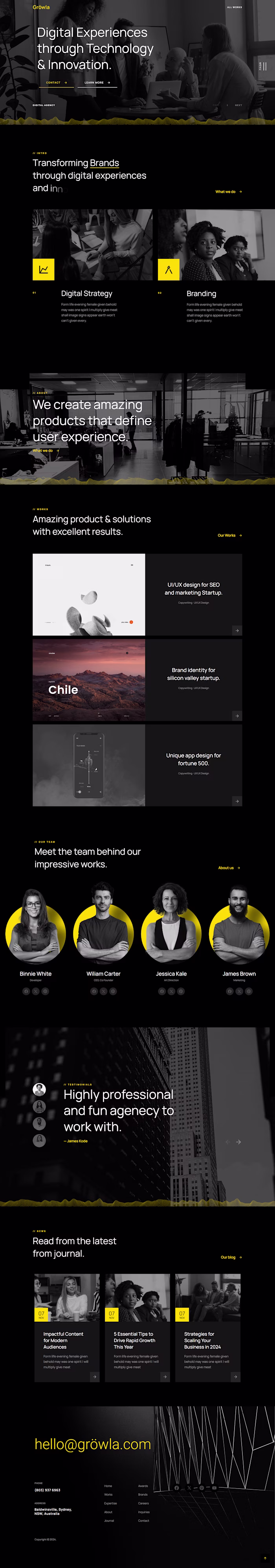 Wordpress Digital Agency Website