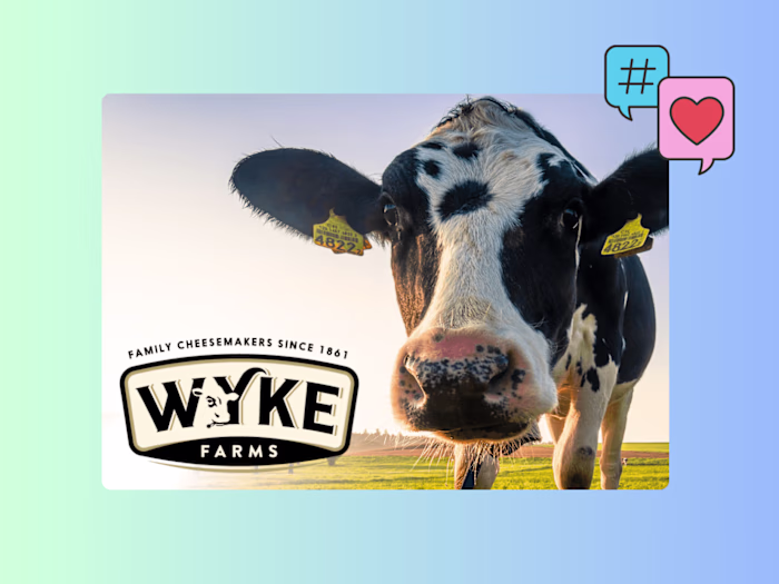 Social Media Campaign & Copywriting | Wyke Farms 🧀