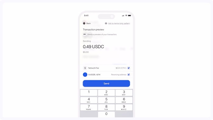 Preview transaction before sending