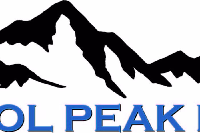 Logo for Social Media Influencer