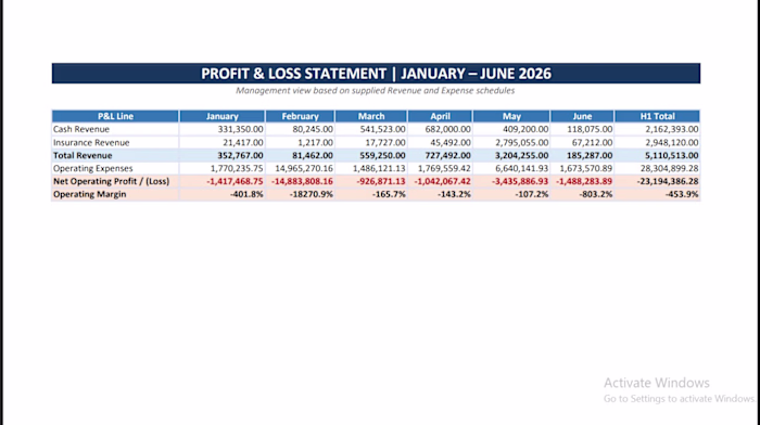Financial Reporting & P&L Analysis