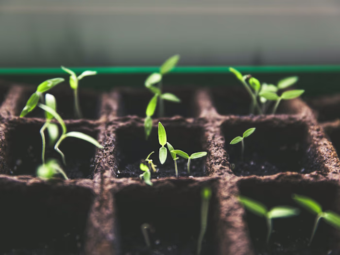 Fundraising Strategy for a Climate-Tech Company