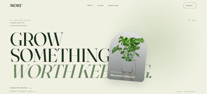 Mori Botanical is an interactive