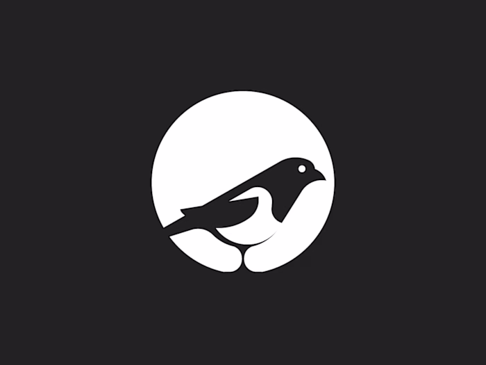 Magpie - Illustration