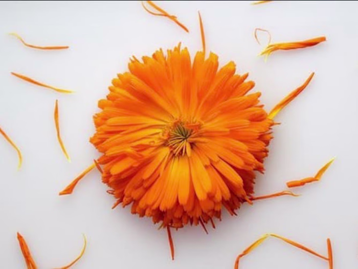 Educative posts on Skincare and Wellness.