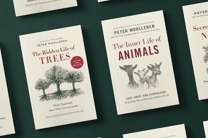 Illustrations + Cover Art for a NYT's Bestselling Trilogy