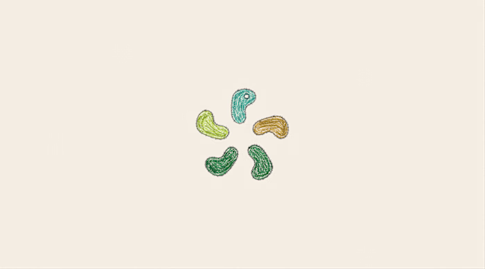 Bosanona Brand Identity
