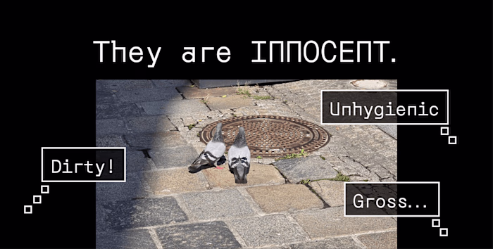 Who is the susPECKt?: Pigeon Archive