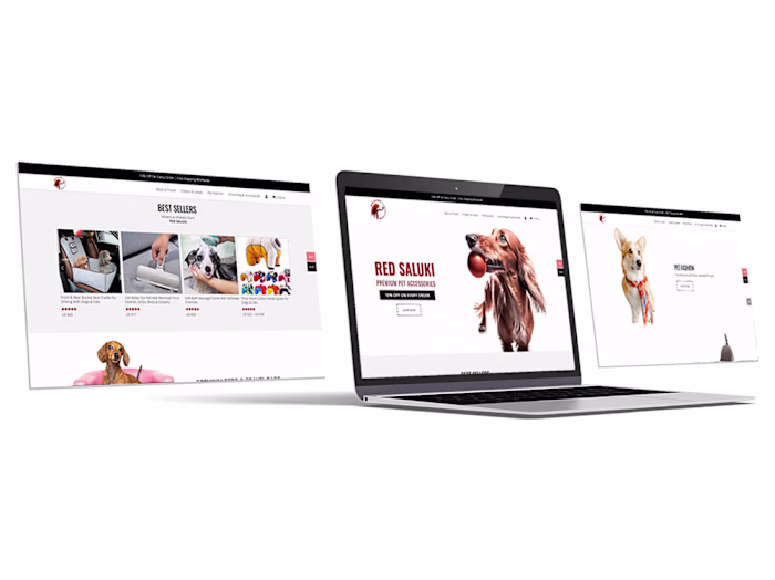 ECommerce Store for Dropshipping