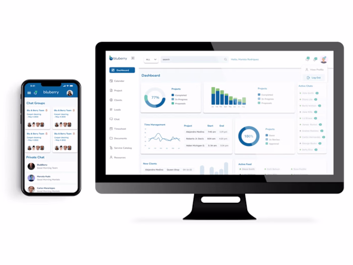 Web App Redesign and Stabilization for Bluberry
