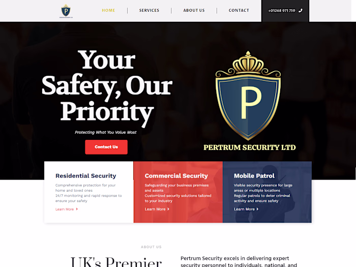 Pertrum Security Website Development