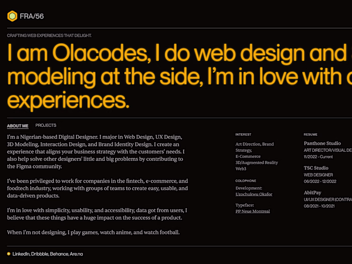 Olaniyi Olacodes - Digital Designer