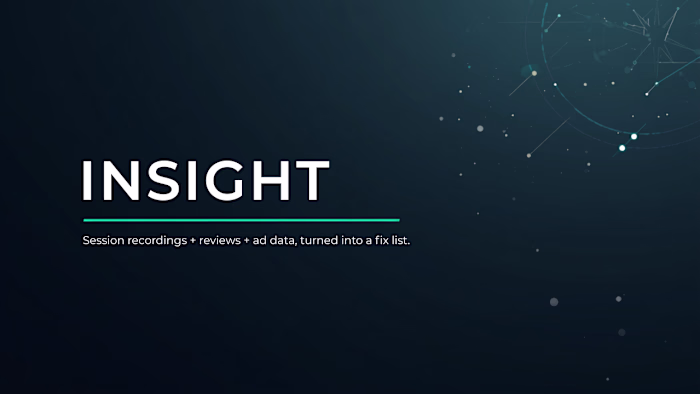 My Store's Insight System: CRO Audit, Reviews & Ad Intelligence