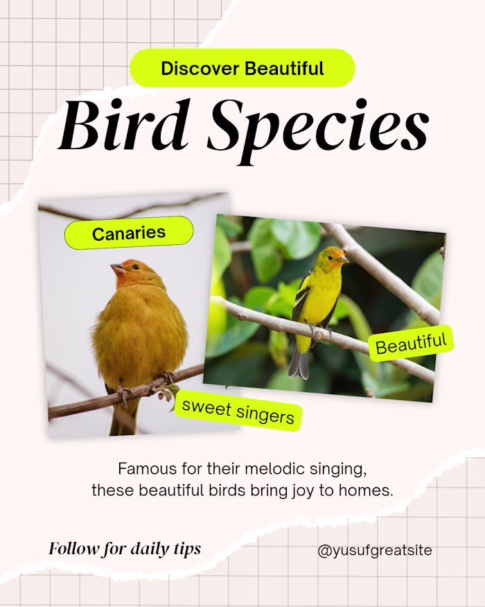 A friendly virtual pet bird