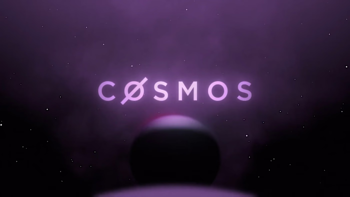 Squid Cosmos
