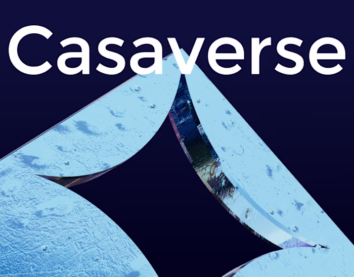 Casaverse Brand Identity and Website Design