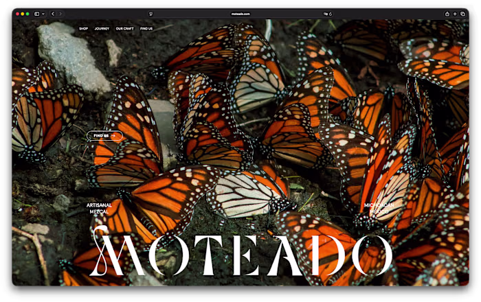 Moteado Mezcal — Shopify UX