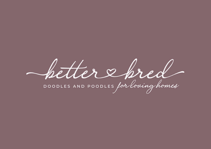 Chic & Feminine Brand Design + Strategy for Dog Breeder 