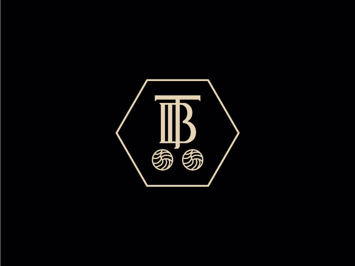 Tenacious Ballers Logo Design
