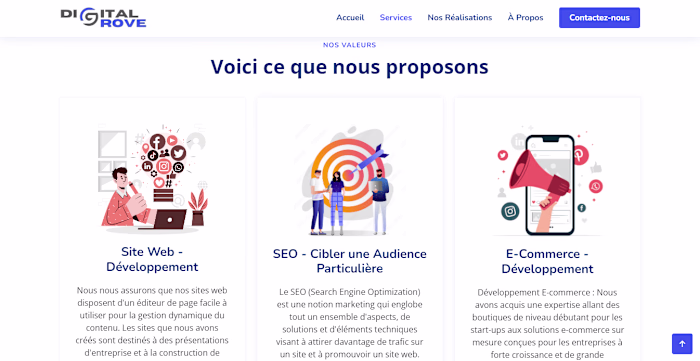 Website for Web Designing Agency