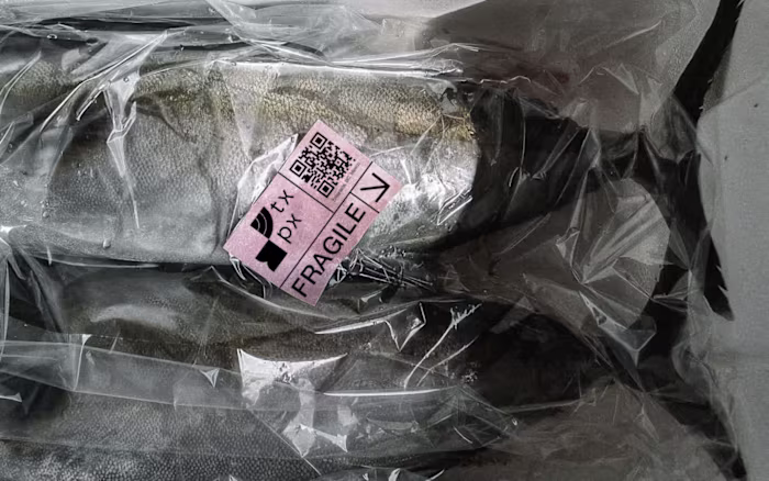 TxPx