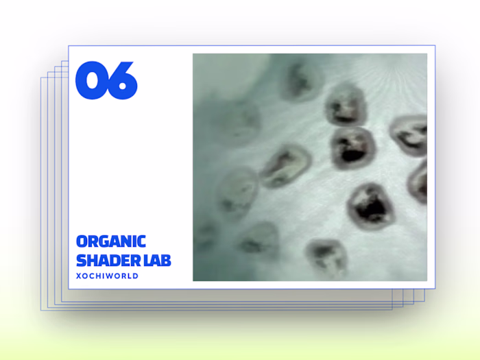 Organic Shader Lab