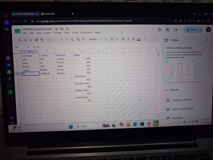 Excel Data Entry & Spreadsheet Organization
