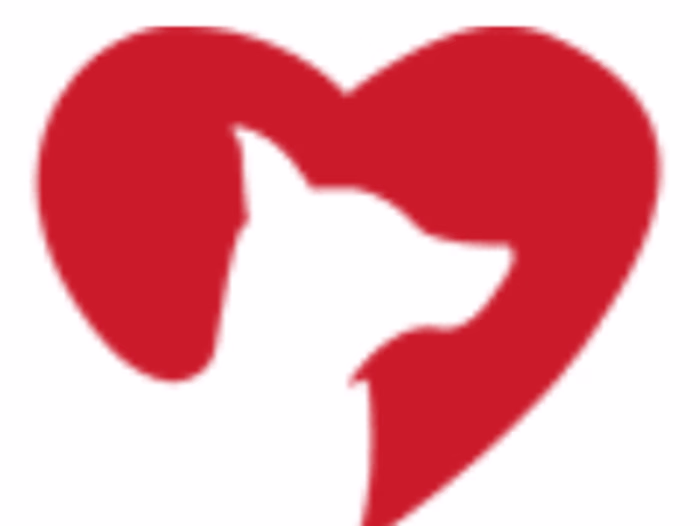 iHeartDogs Writer