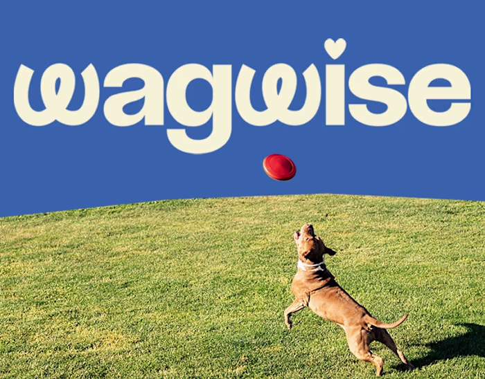 WagWise - Pet Care Branding