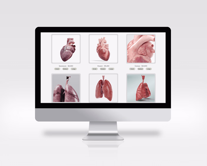 Organique E-com shop case study