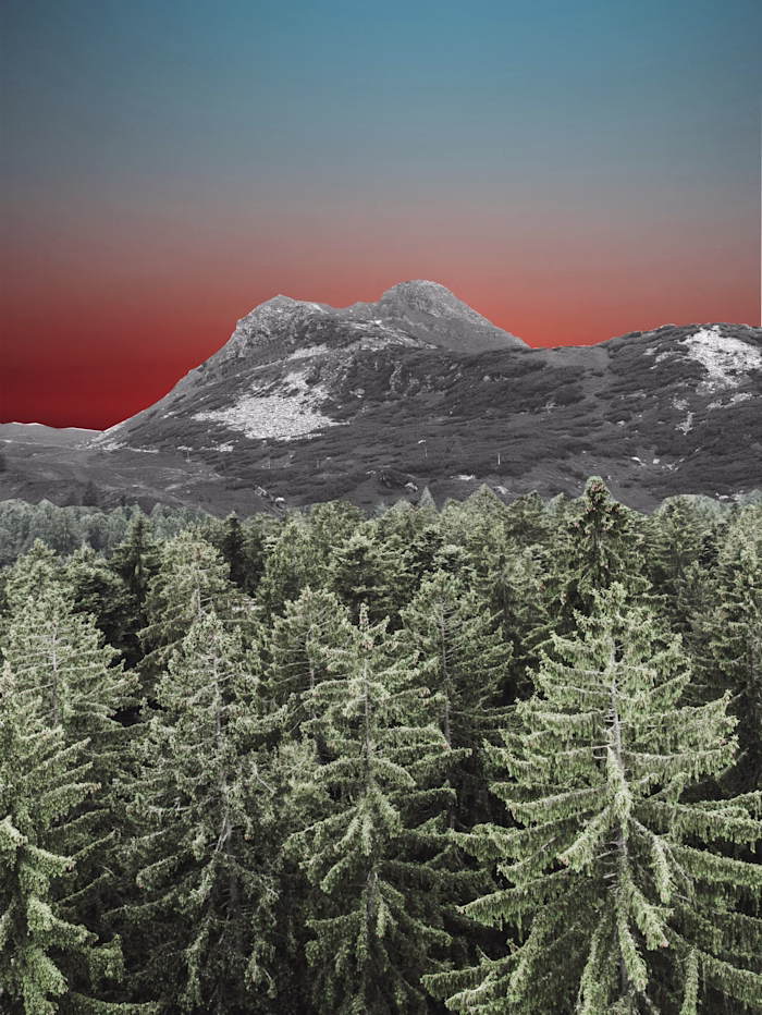 Collages