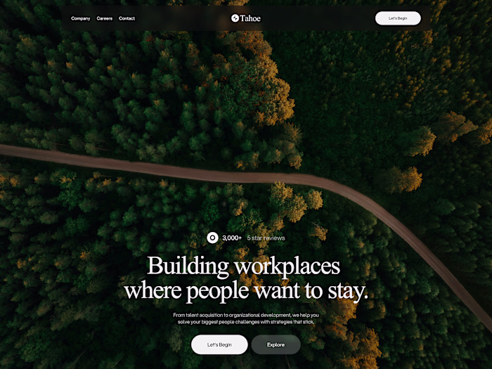 Tahoe Consulting Website Design